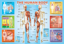 Load image into Gallery viewer, The Human Body
