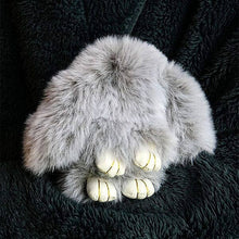 Load image into Gallery viewer, Kawaii Plush Keychain Mystery Tin
