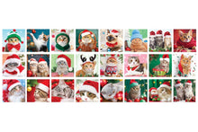 Load image into Gallery viewer, Christmas Whiskers - Advent Calendar
