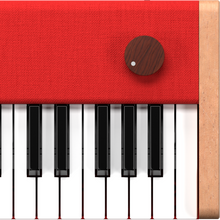 Load image into Gallery viewer, Loog Piano
