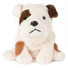 Load image into Gallery viewer, Toast Bulldog
