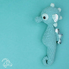 Load image into Gallery viewer, DIY Crochet Kit - Molly Seahorse
