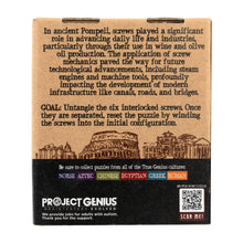 Load image into Gallery viewer, Bolts of Pompeii Brainteaser
