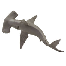 Load image into Gallery viewer, Hammerhead Shark Baby - 267929
