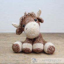 Load image into Gallery viewer, DIY Knitting Kit - Luke Highlander
