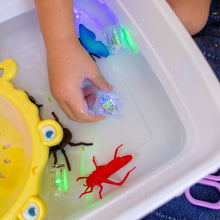 Load image into Gallery viewer, Glo Pals: 6-Pack Insects Gift Set
