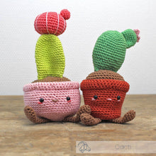 Load image into Gallery viewer, DIY Crochet Kit - Moon Cactus
