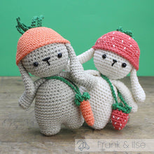 Load image into Gallery viewer, DIY Crochet Kit - Ilse Rabbit
