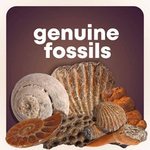 Load image into Gallery viewer, Mega Rock, Fossil &amp; Mineral Collection
