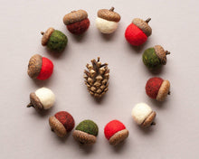Load image into Gallery viewer, Holiday Felted Acorn Kit - Wet Felting
