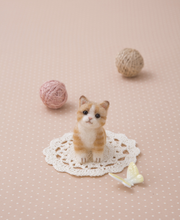 Load image into Gallery viewer, DIY Felt Kit – Orange Tabby Kitten Needle Felting Set
