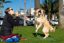 Load image into Gallery viewer, BubbleLick™ Pets Peanut Butter Swirl bubbles
