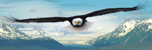 Load image into Gallery viewer, Eagle
