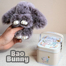 Load image into Gallery viewer, Kawaii Plush Keychain Mystery Tin
