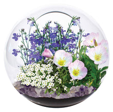 Load image into Gallery viewer, Mini Fairy Triad Glass Terrarium
