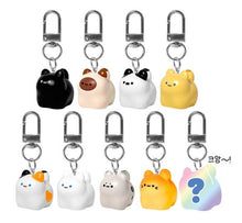 Load image into Gallery viewer, Kawaii Bread Cat Keychain – Mystery Blind Box
