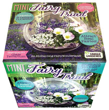 Load image into Gallery viewer, Mini Fairy Triad Glass Terrarium
