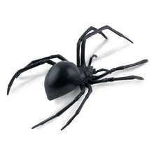 Load image into Gallery viewer, Black Widow Spider - 545406
