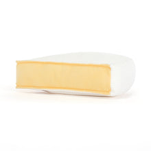 Load image into Gallery viewer, Amuseables Brie
