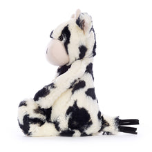 Load image into Gallery viewer, Bashful Calf
