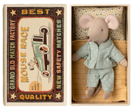 Little brother mouse in matchbox
