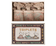 Triplets, Baby mice in matchbox
