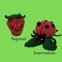 Load image into Gallery viewer, Dido DIY Amigurumi Kit Strawberry or Ladybug
