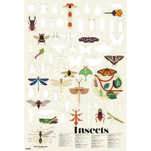 Load image into Gallery viewer, Discovery Poster
