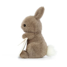 Load image into Gallery viewer, Messenger Bunny
