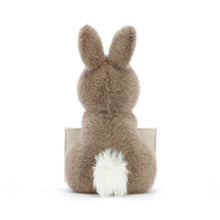 Load image into Gallery viewer, Messenger Bunny

