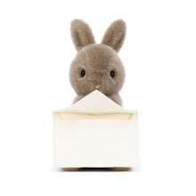 Load image into Gallery viewer, Messenger Bunny
