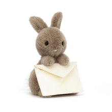 Load image into Gallery viewer, Messenger Bunny
