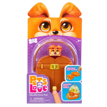 Load image into Gallery viewer, Pets 2 Love
