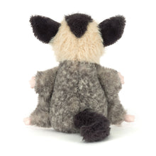 Load image into Gallery viewer, Lolly Sugar Glider
