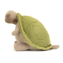 Load image into Gallery viewer, Timmy Turtle Big
