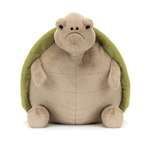 Load image into Gallery viewer, Timmy Turtle Big
