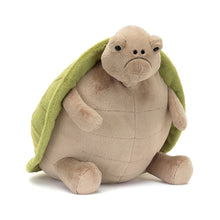 Load image into Gallery viewer, Timmy Turtle Big
