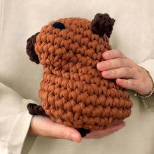 Load image into Gallery viewer, Hugh the Capybara Extra Squeezy Crochet Kit
