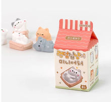 Load image into Gallery viewer, Random Cozy Cat Miniature Figure– Blind Box Series
