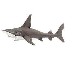Load image into Gallery viewer, Hammerhead Shark Baby - 267929

