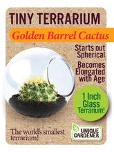 Load image into Gallery viewer, Tiny Terrarium Cactus Counter Display with 6 Varieties
