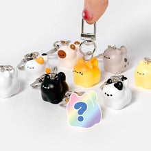 Load image into Gallery viewer, Kawaii Bread Cat Keychain – Mystery Blind Box
