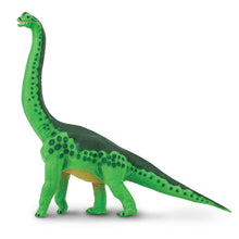 Load image into Gallery viewer, Brachiosaurus - 278229
