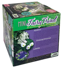Load image into Gallery viewer, Mini Fairy Triad Glass Terrarium
