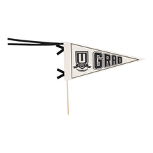 Load image into Gallery viewer, Grad Felt Pennant Banner

