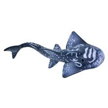 Load image into Gallery viewer, Shark Ray - 226329
