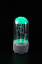 Load image into Gallery viewer, Jelly Fish Mood Lamp Bluetooth Speaker
