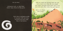 Load image into Gallery viewer, Shine-A-Light: Backyard Bugs
