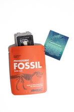 Load image into Gallery viewer, Fossil Blind Bag
