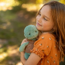 Load image into Gallery viewer, World Softest Plush Lushee 10 inch - Toddy Turtle

